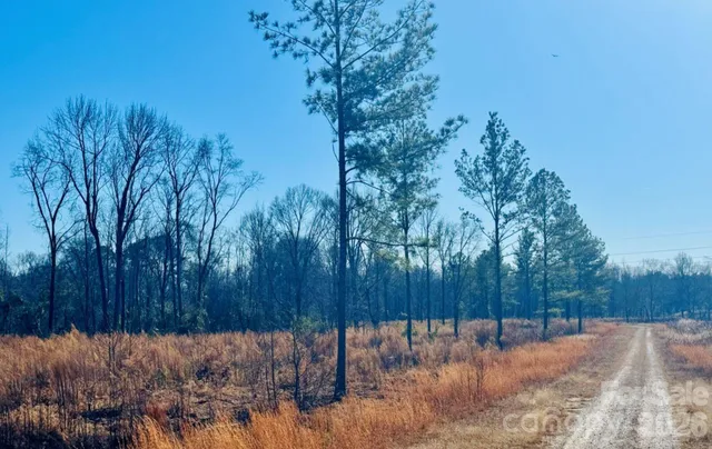 $36,900 | 0 Woodbine Road, Cheraw, SC 29520