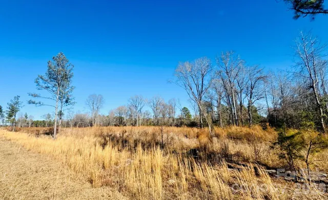 $36,900 | 0 Woodbine Road, Cheraw, SC 29520