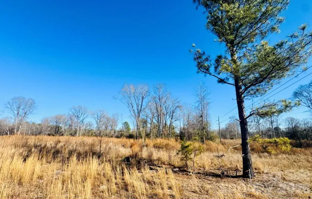 $36,900 | 0 Woodbine Road, Cheraw, SC 29520