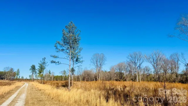 $36,900 | 0 Woodbine Road, Cheraw, SC 29520