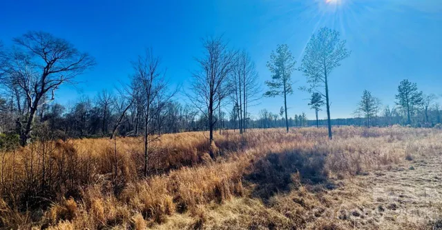 $36,900 | 0 Woodbine Road, Cheraw, SC 29520