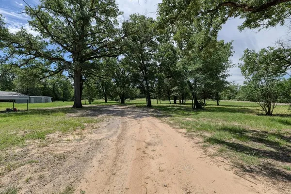 a view of a park with large trees