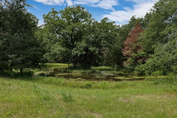 a view of a park with large trees