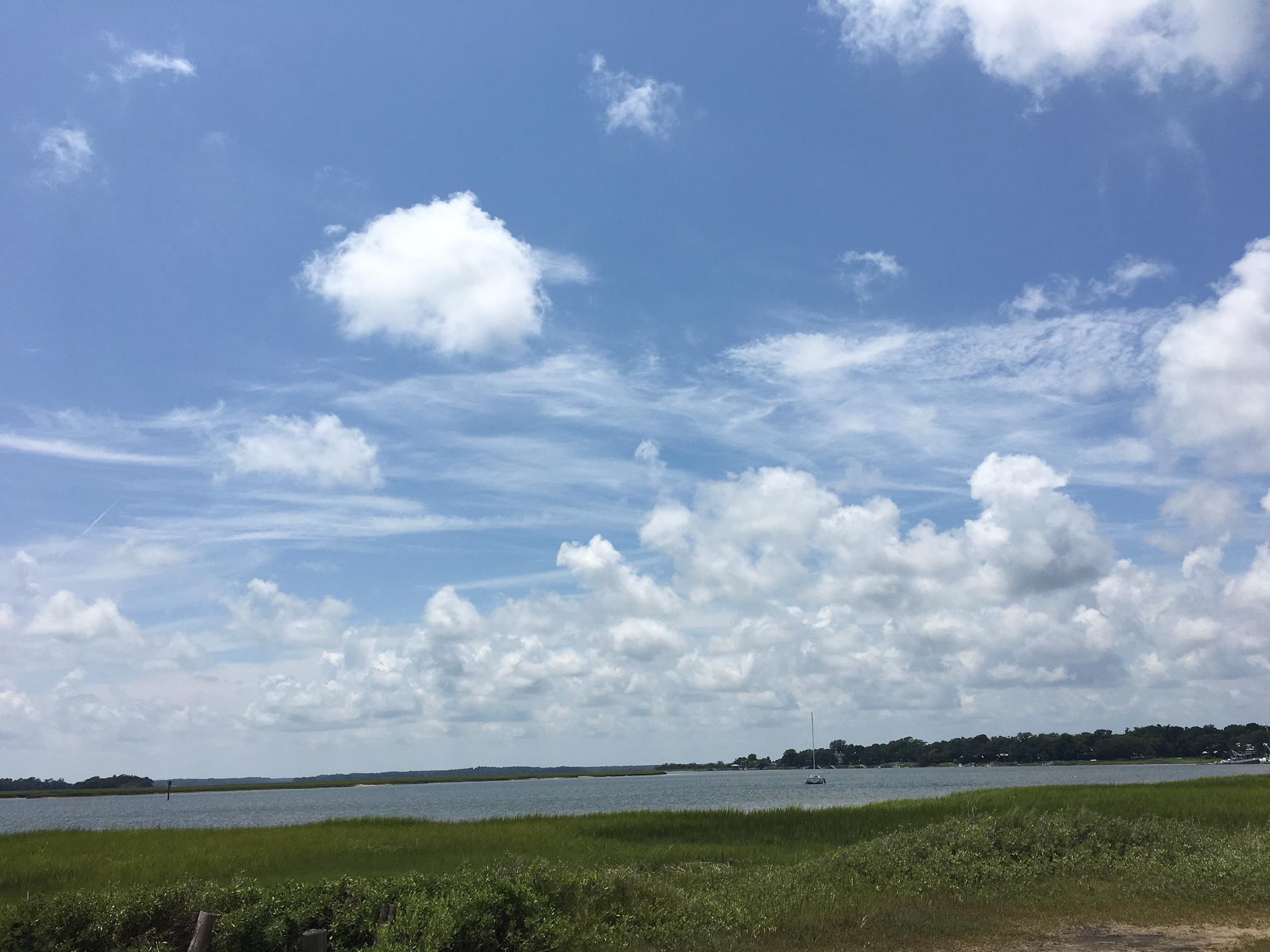 Lot 11 Bloody Point Road Wadmalaw Island, SC 29487 - Photo 11 of 15 IMG_7161