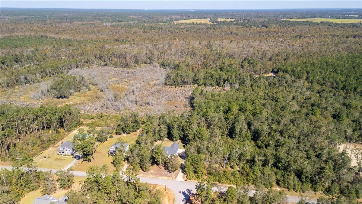 115 Ridge Pointe Drive Waynesboro, GA 30830 - Photo 37 of 59 42-042-