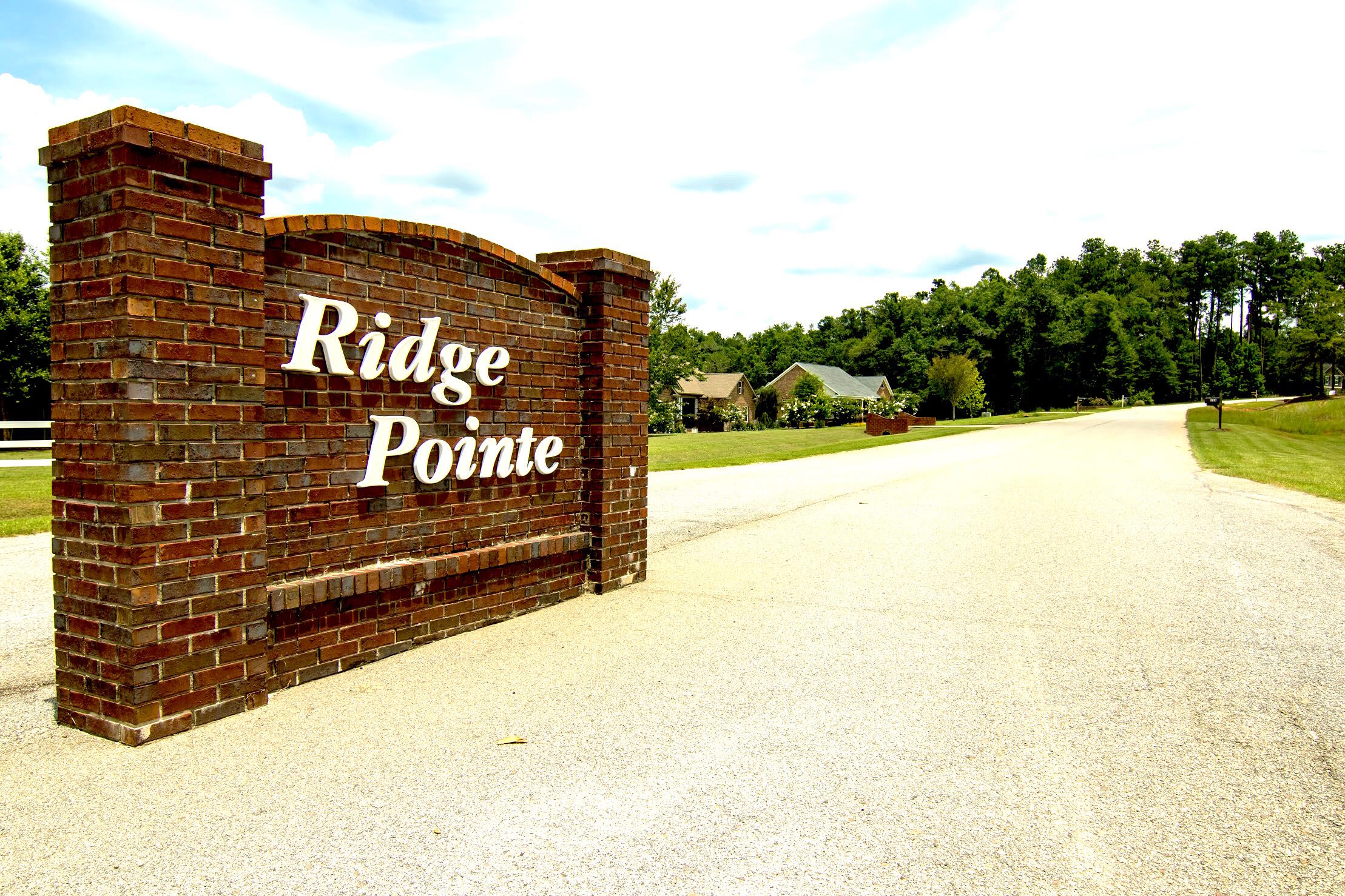 115 Ridge Pointe Drive Waynesboro, GA 30830 - Photo 57 of 59 ridge pointe entrance