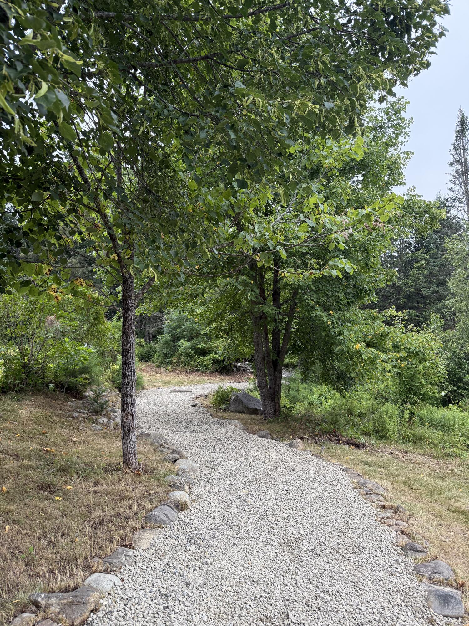 1082 North Palermo Road Freedom, ME 04941 - Photo 68 of 74 IMG_5953-preview