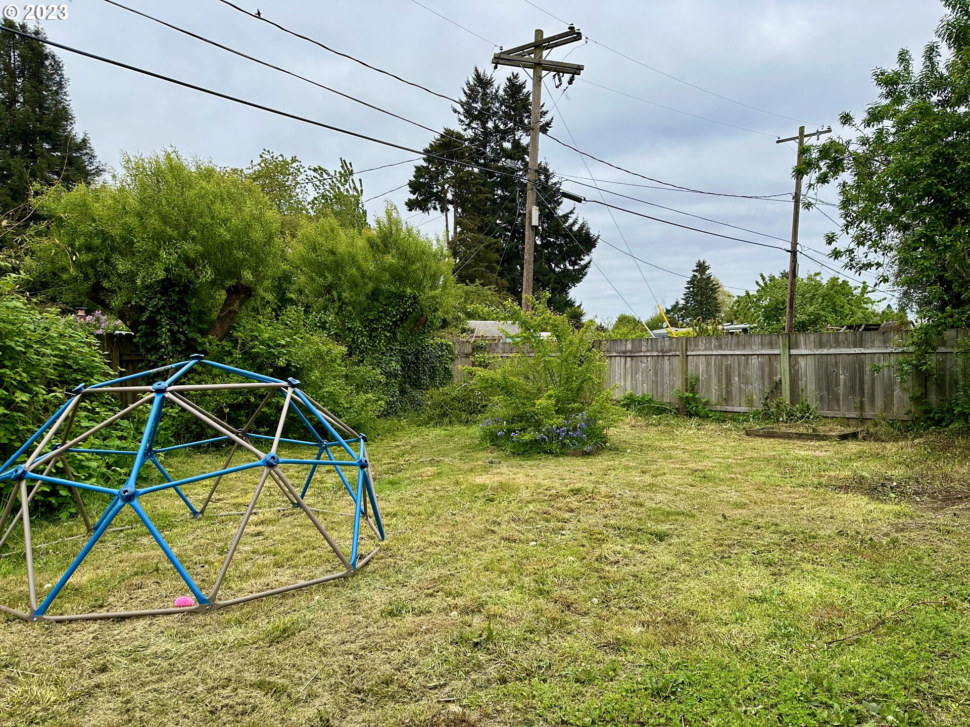 3130 Partridge Way Springfield, OR 97477 - Photo 8 of 14 a view of a backyard