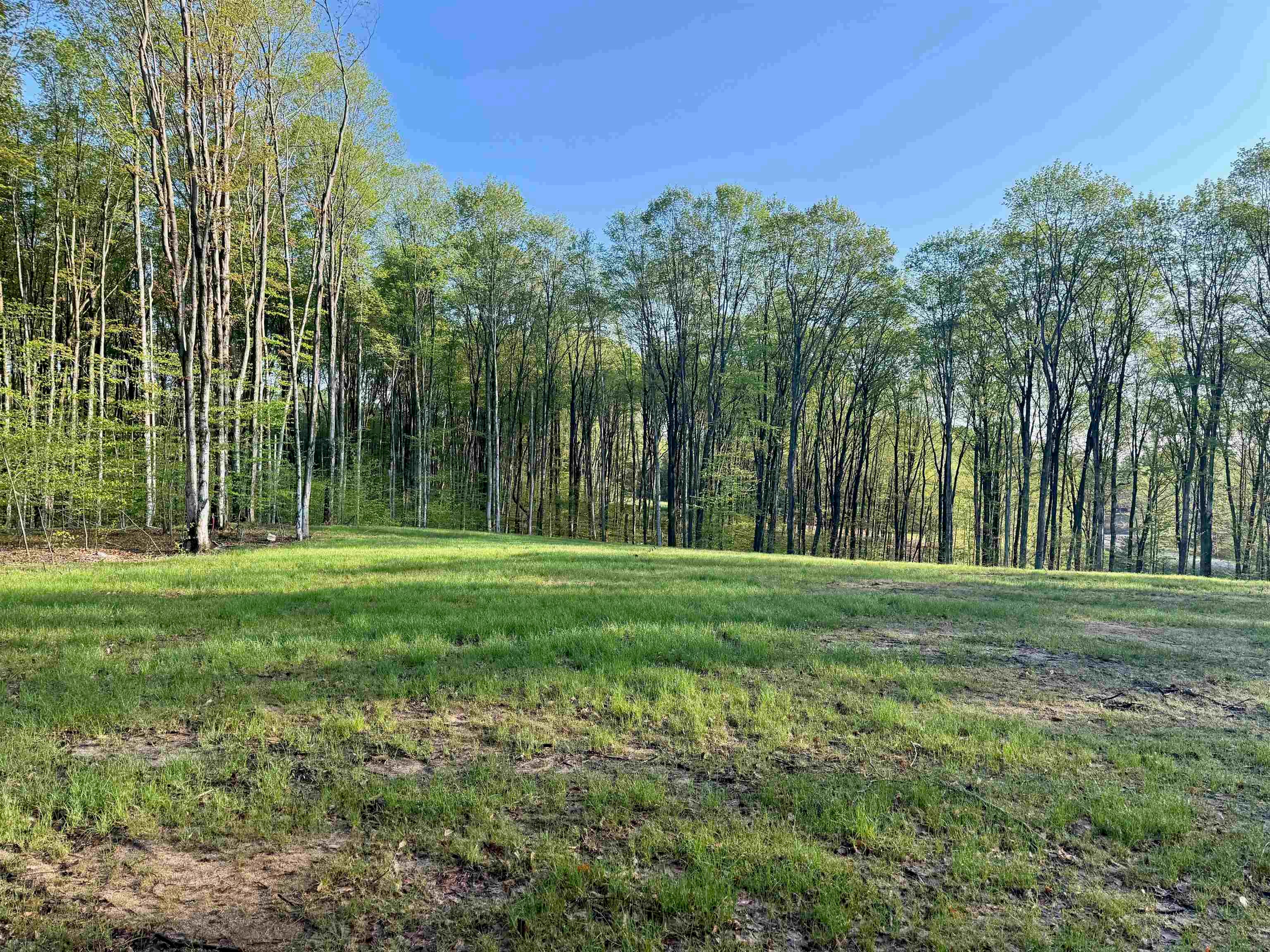 1 South Bright Road, Unit LOT: 1 Maple City, MI 49664 - Photo 5 of 16 Gallery Image 5