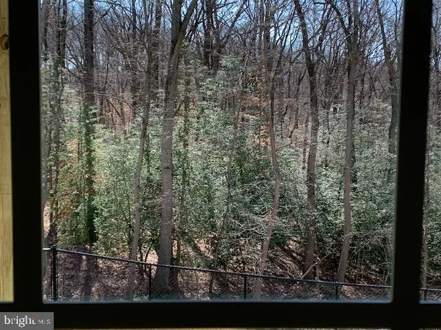a view of a forest from a window
