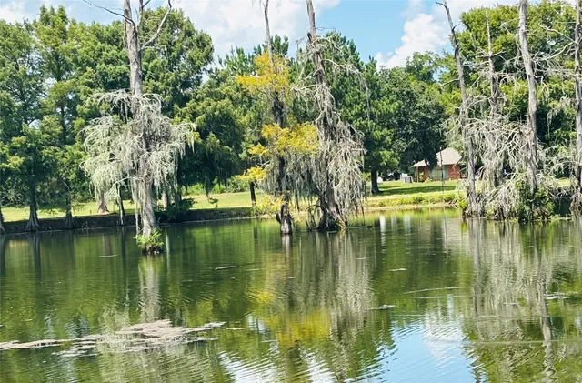 a view of lake with green space