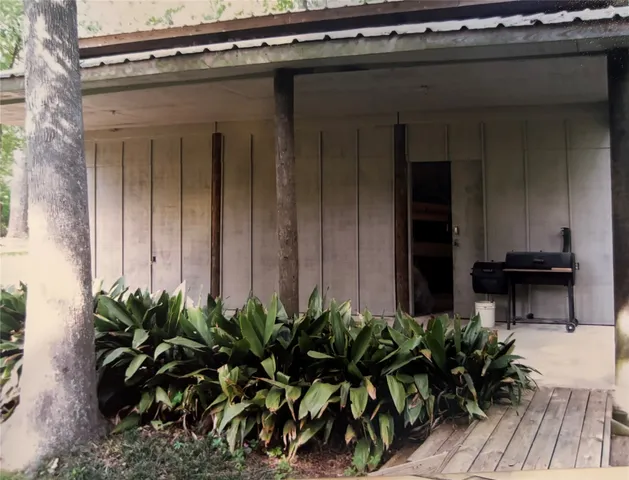 a potted plant sitting in front of a house