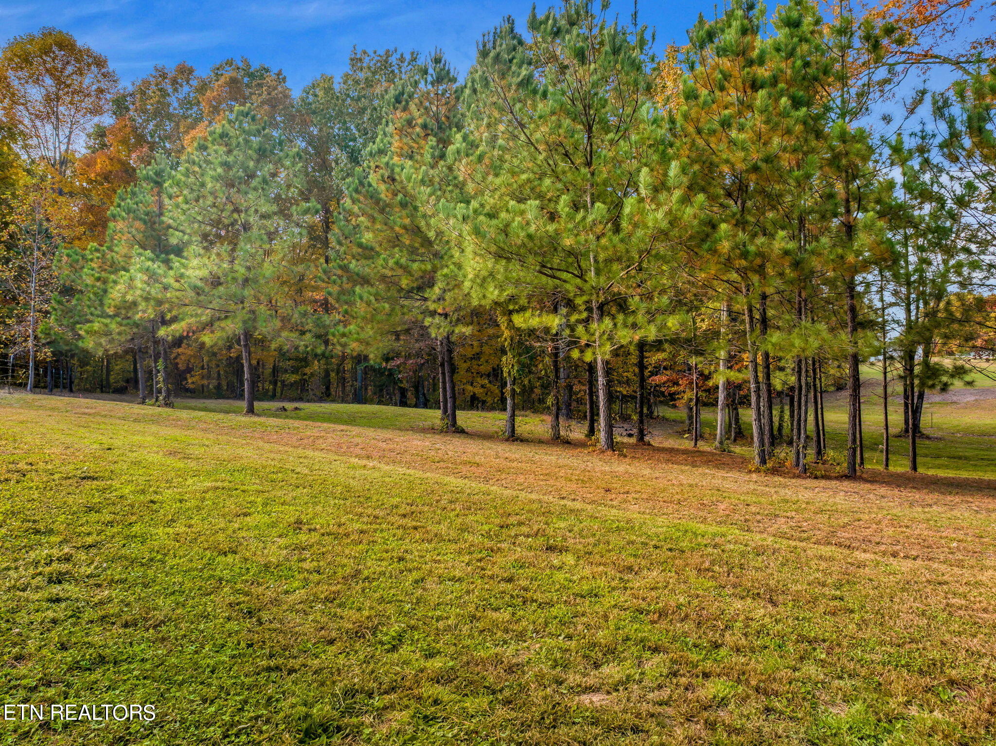 Rocky River Road Rock Island, TN 38581 - Photo 18 of 28 Country Setting