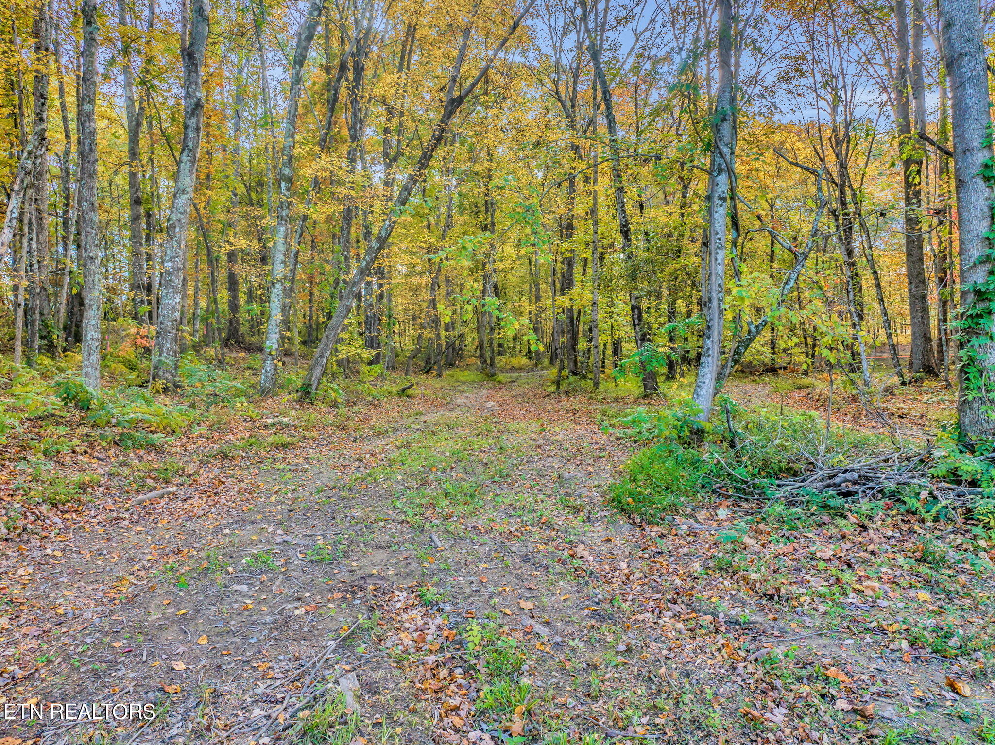 Rocky River Road Rock Island, TN 38581 - Photo 21 of 28 Country Setting