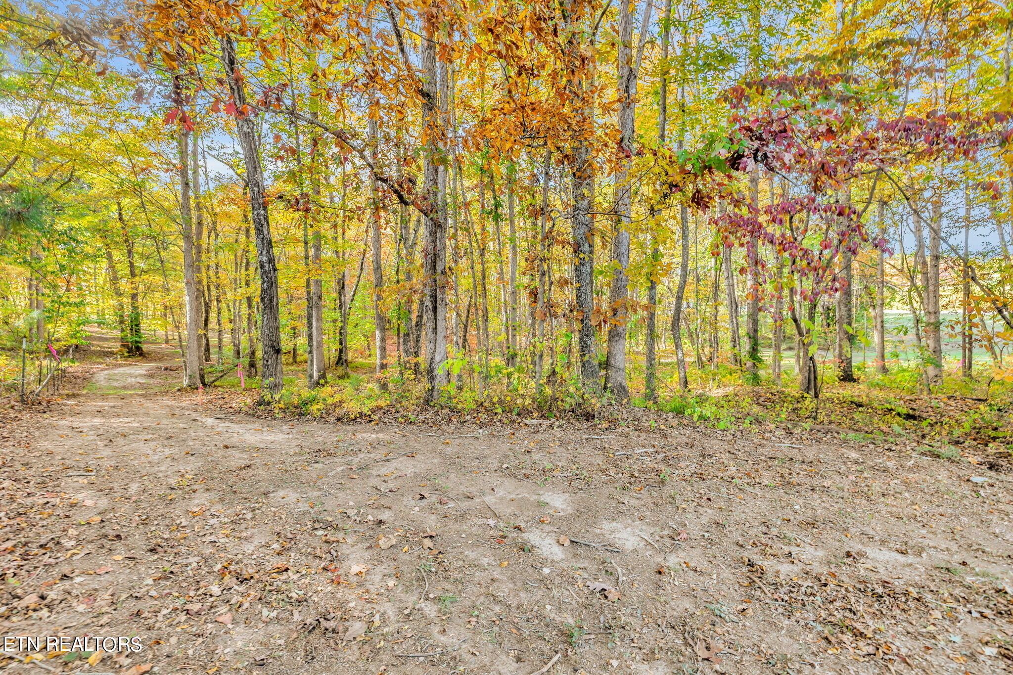 Rocky River Road Rock Island, TN 38581 - Photo 6 of 28 Country Setting