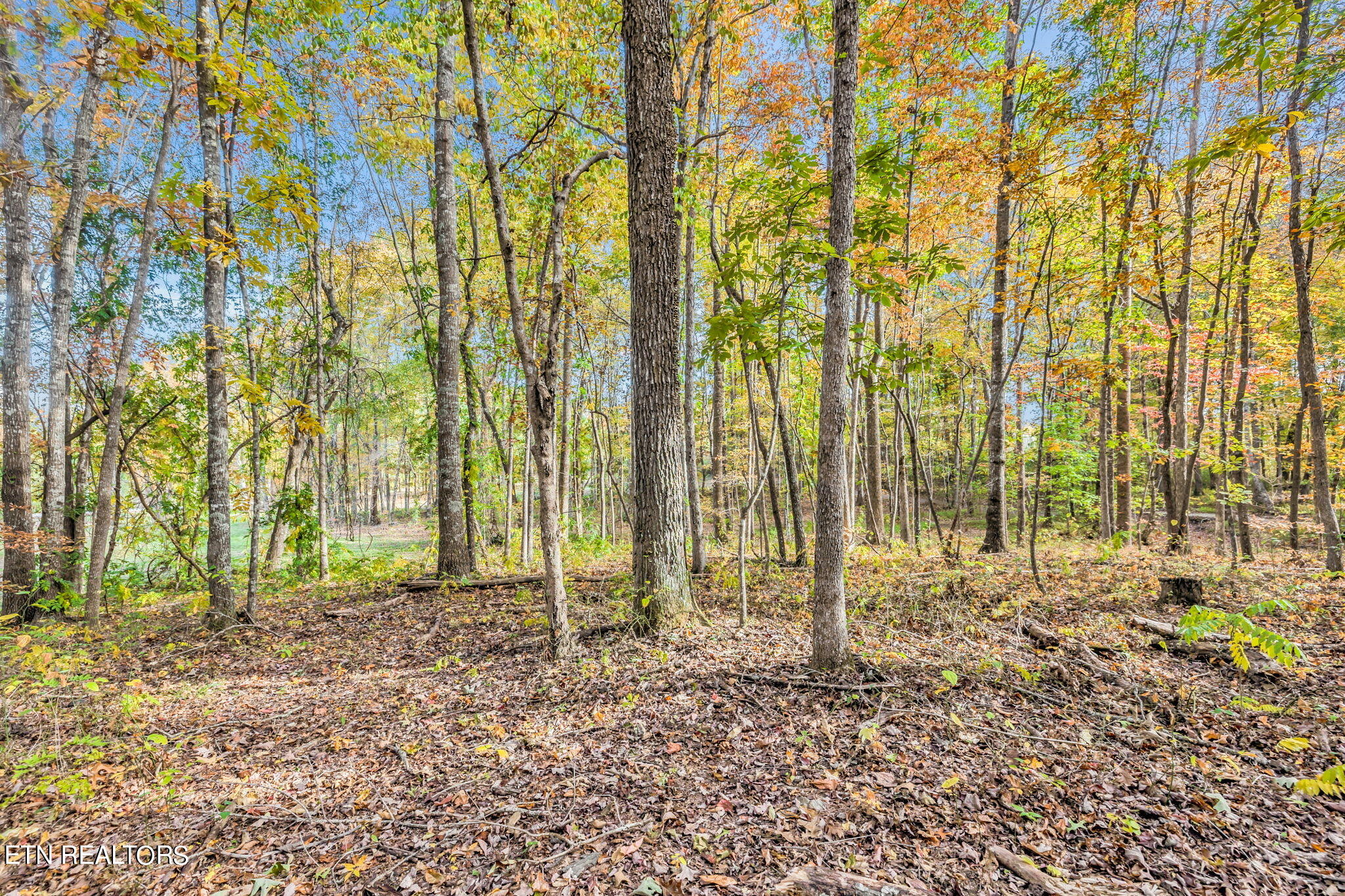 Rocky River Road Rock Island, TN 38581 - Photo 8 of 28 Country Setting