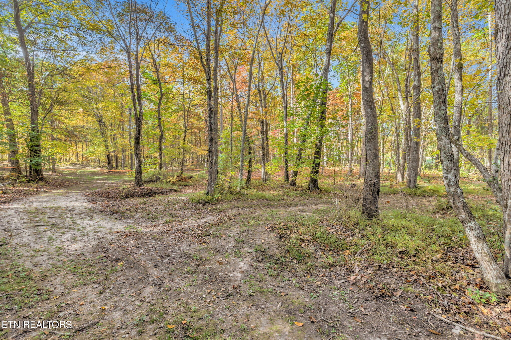 Rocky River Road Rock Island, TN 38581 - Photo 10 of 28 Country Setting