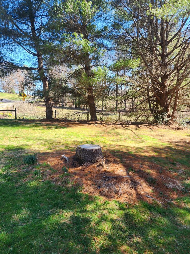 332 Fairview Road Galax, VA 24333 - Photo 34 of 47 Gallery Image 34