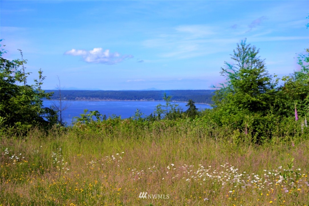 404 Eaglemount Road Port Townsend, WA 98368 - Photo 2 of 15 Gallery Image 2