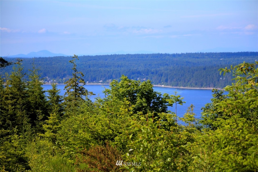 404 Eaglemount Road Port Townsend, WA 98368 - Photo 4 of 15 Gallery Image 4
