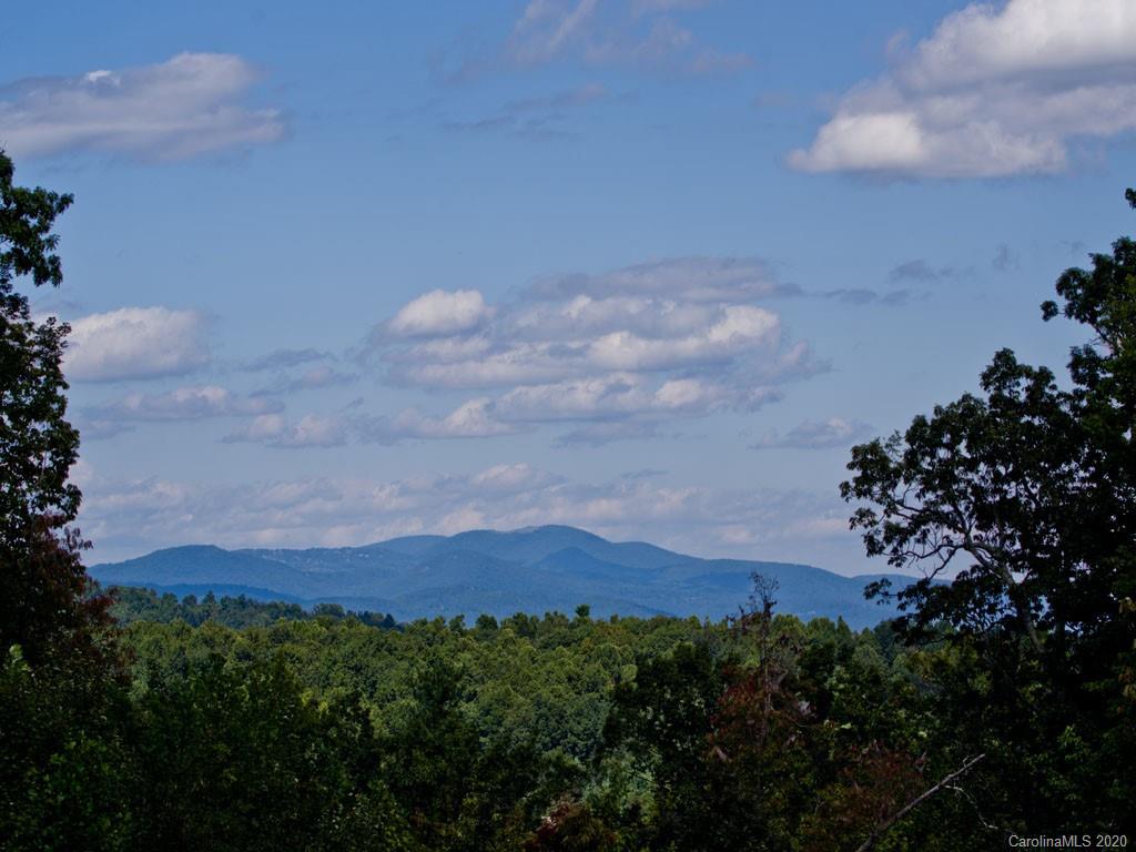235 Monarch Road, Unit 10 Hendersonville, NC 28739 - Photo 10 of 14 Gallery Image 10