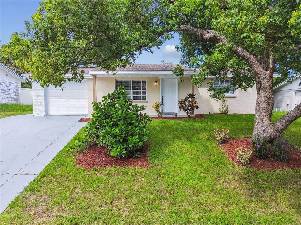 9411 Rainbow Lane Port Richey, FL 34668 - Photo 1 of 1 front view of a house with a yard