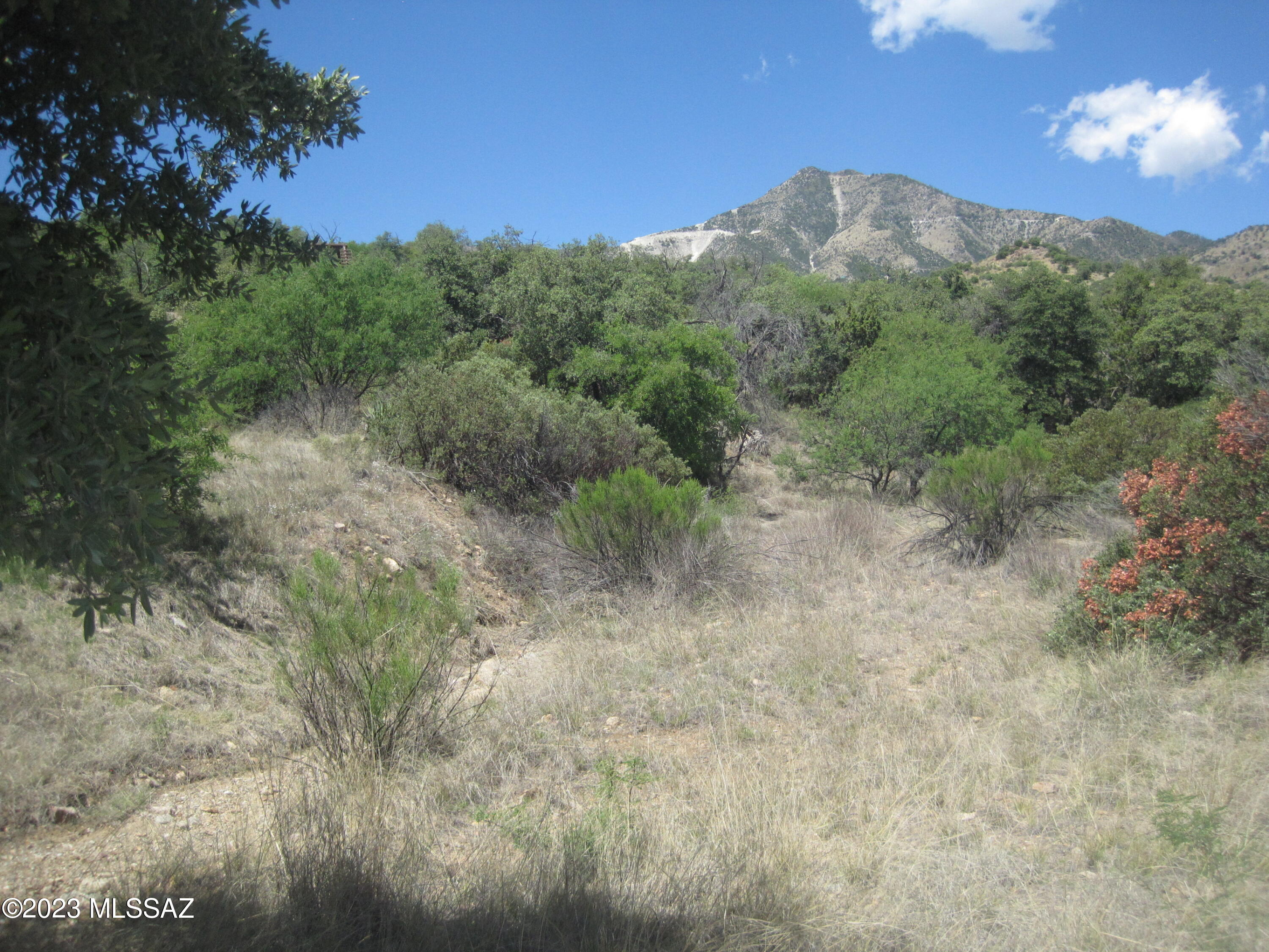 14900 North Oracle Control Road Tucson, AZ 85739 - Photo 19 of 32 Gallery Image 19