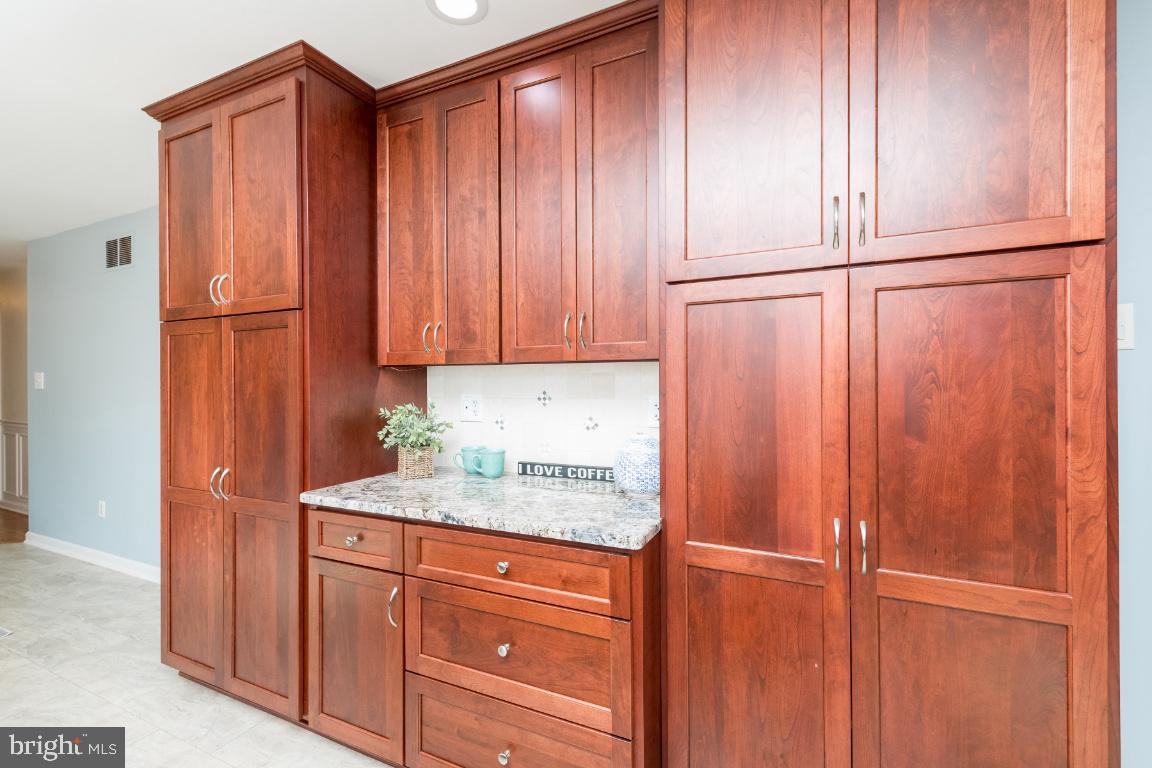 259 Cinder Road Lutherville-Timonium, MD 21093 - Photo 19 of 37 Lots of storage with pull out shelving