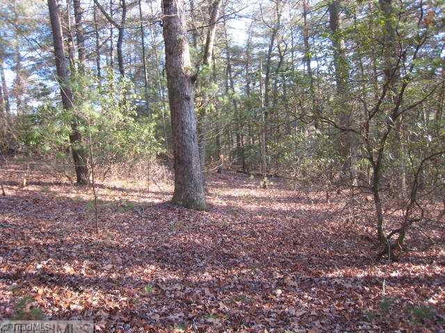 0 Regal Road State Road, NC 28676 - Photo 4 of 5 Land/Lot.