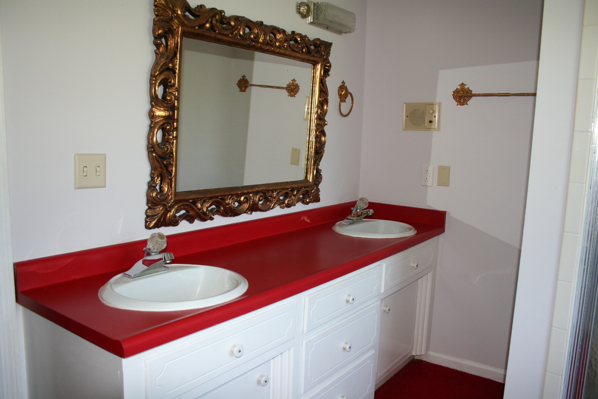 7080 Swift Road Greenbrier, TN 37073 - Photo 29 of 47 a bathroom with a sink and a mirror