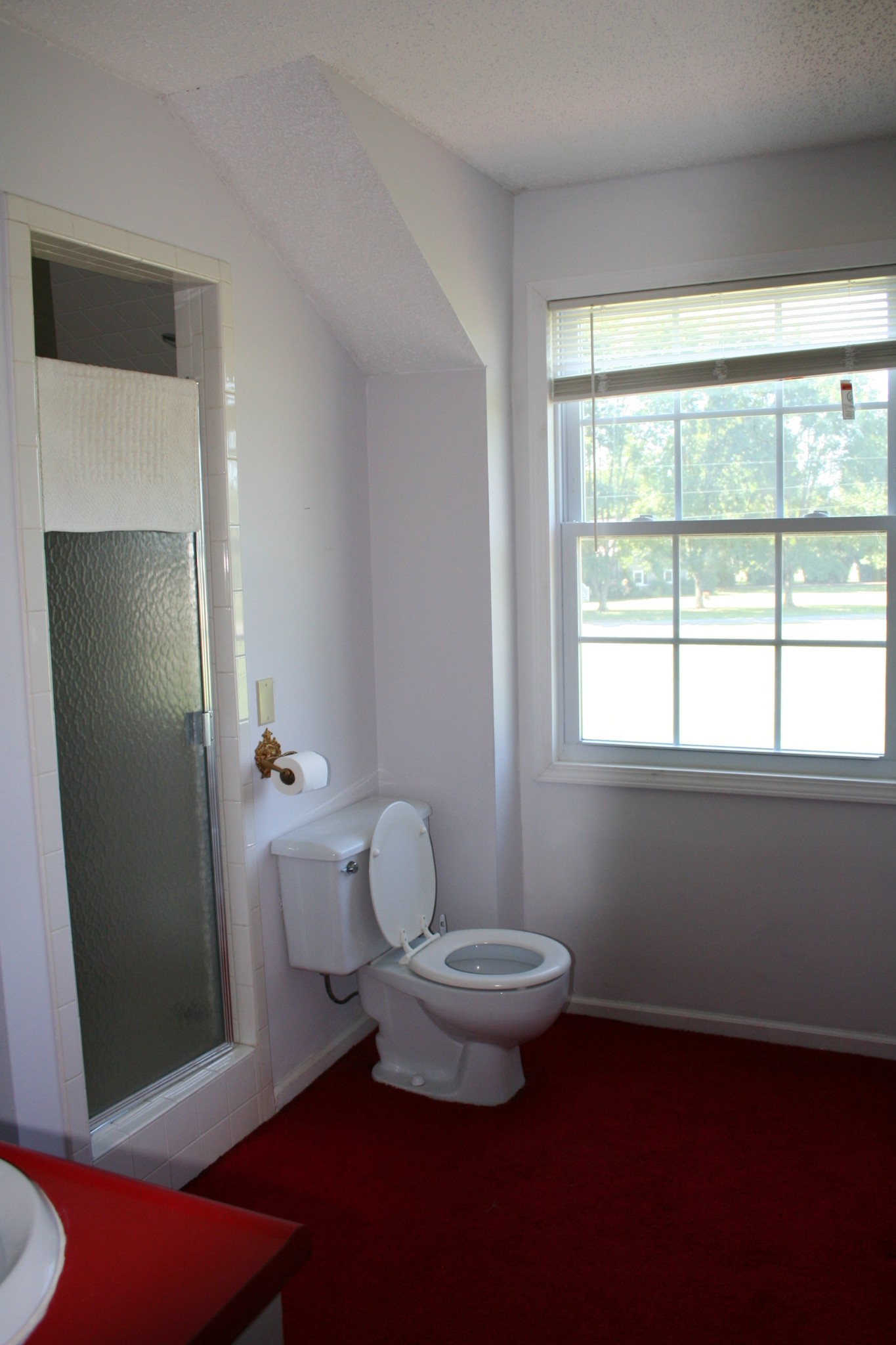 7080 Swift Road Greenbrier, TN 37073 - Photo 30 of 47 a bathroom with a toilet a sink and a window