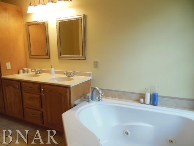 816 Kickapoo Drive Danvers, IL 61732 - Photo 17 of 30 Gallery Image 17
