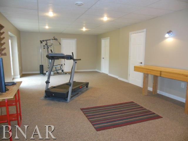 816 Kickapoo Drive Danvers, IL 61732 - Photo 22 of 30 Gallery Image 22