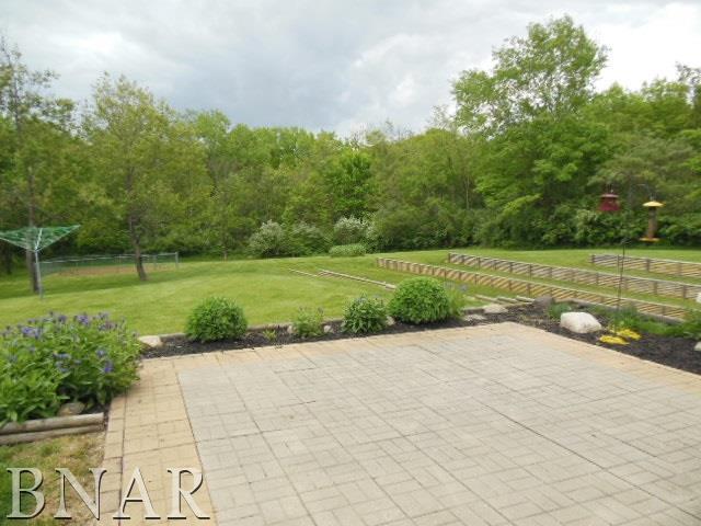816 Kickapoo Drive Danvers, IL 61732 - Photo 29 of 30 Gallery Image 29