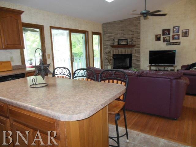 816 Kickapoo Drive Danvers, IL 61732 - Photo 9 of 30 Gallery Image 9