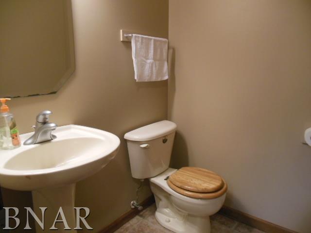 816 Kickapoo Drive Danvers, IL 61732 - Photo 10 of 30 Gallery Image 10