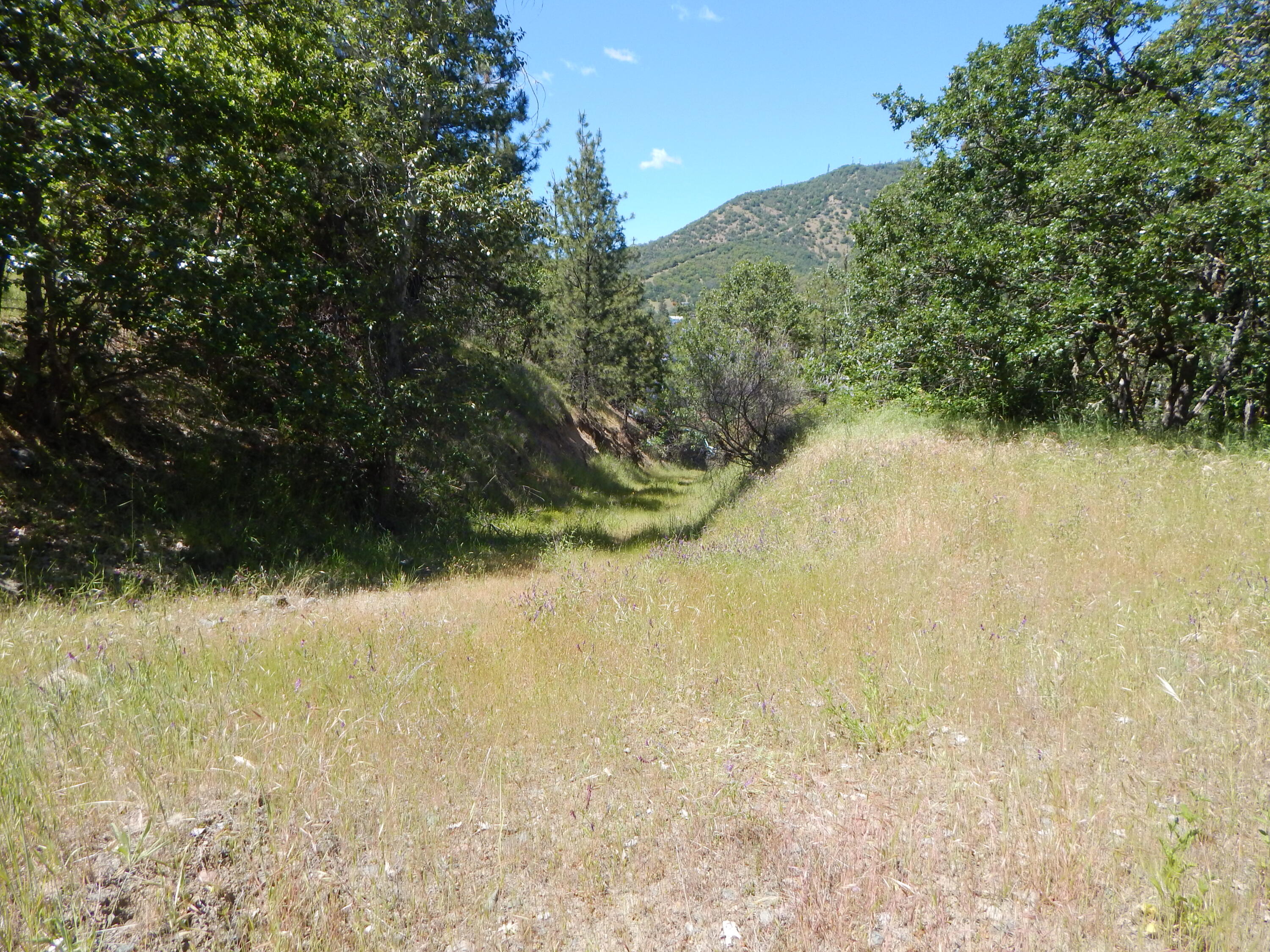 10205 Old Stage Road Gold Hill, OR 97525 - Photo 31 of 36 DSCN4405