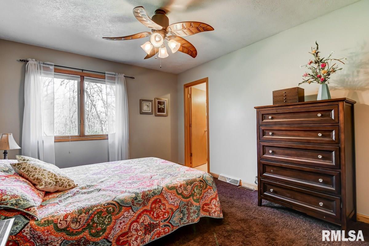 1875 South Wake Road New Berlin, IL 62670 - Photo 15 of 45