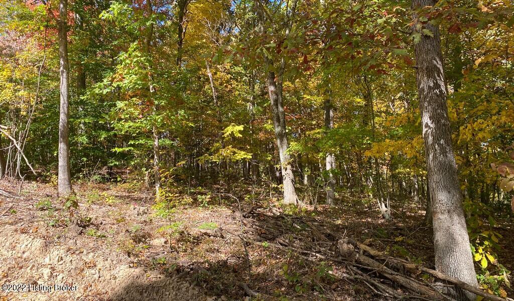 L34 Ted Logsdon Road Clarkson, KY 42726 - Photo 12 of 18 River View Fall150