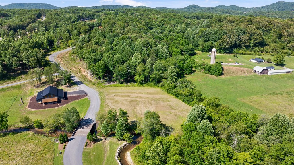 Lot 1 Ridge Drive Morganton, GA 30560 - Photo 7 of 21