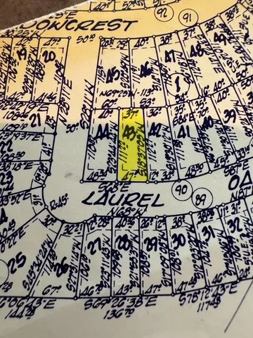 $2,000 | Tbd43 Laurel Oak, Trinity, TX 75862