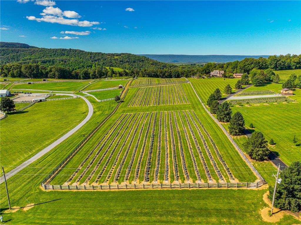 63 Long Road Lenhartsville, PA 19534 - Photo 24 of 100 Rolling hills and structured agricultural fields define this expansive countryside landscape.