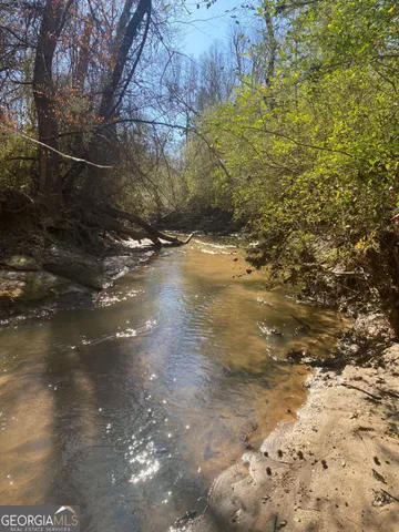 a view of a yard with large trees