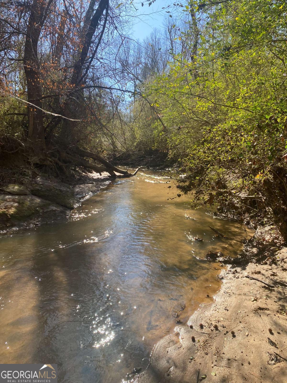 a view of a yard with large trees
