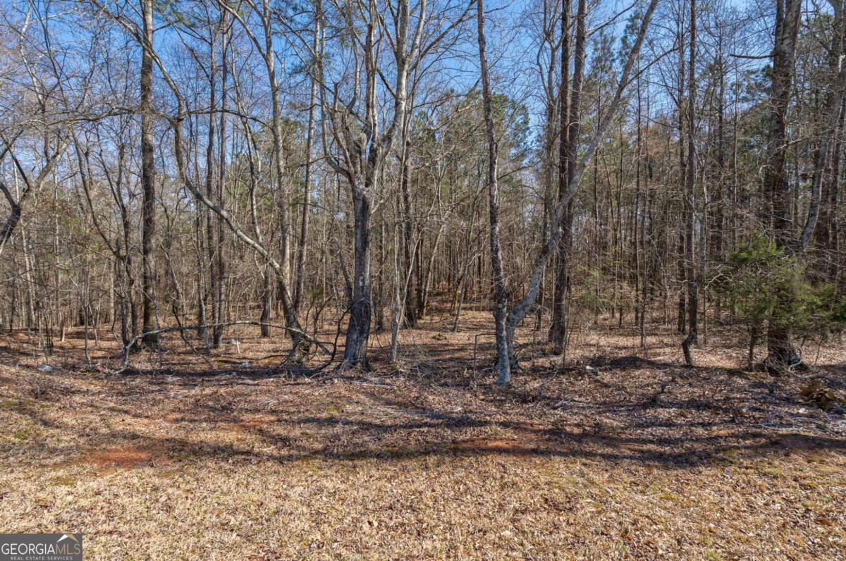 0 Kent Rock Road Loganville, GA 30052 - Photo 11 of 24 a backyard of a house with lots of trees
