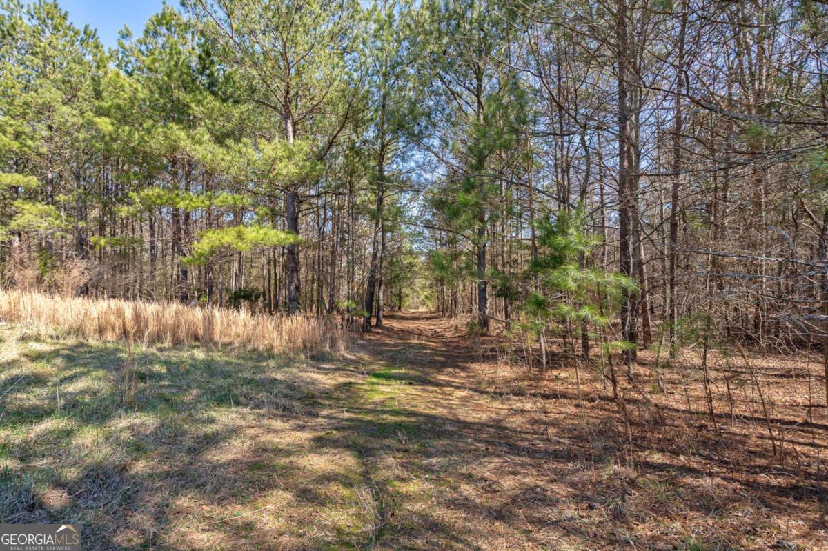 0 Kent Rock Road Loganville, GA 30052 - Photo 12 of 24 a view of yard