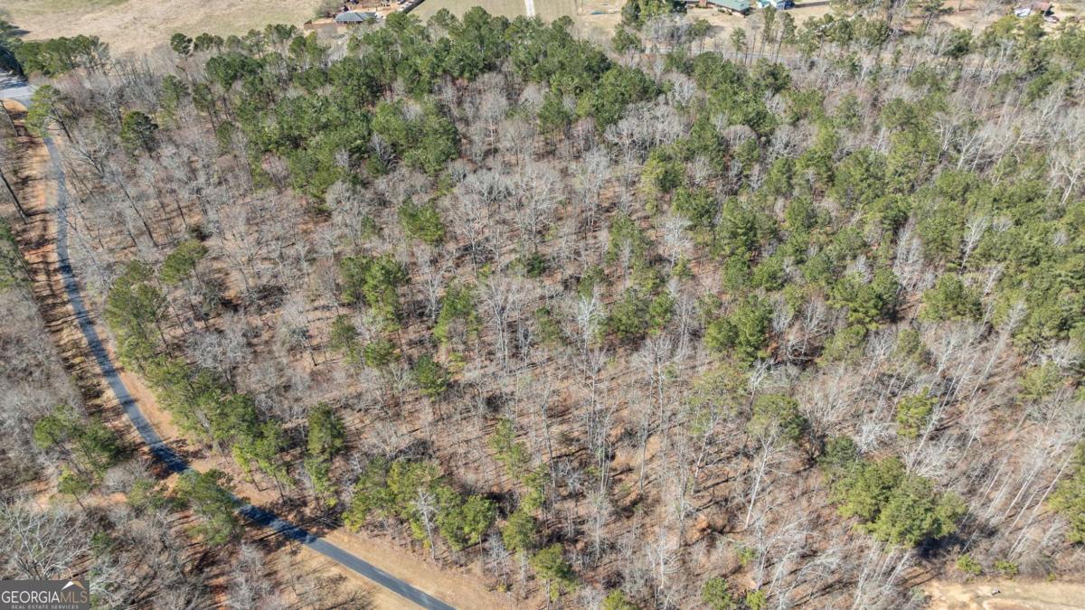 0 Kent Rock Road Loganville, GA 30052 - Photo 24 of 24 a view of a forest with lots of trees