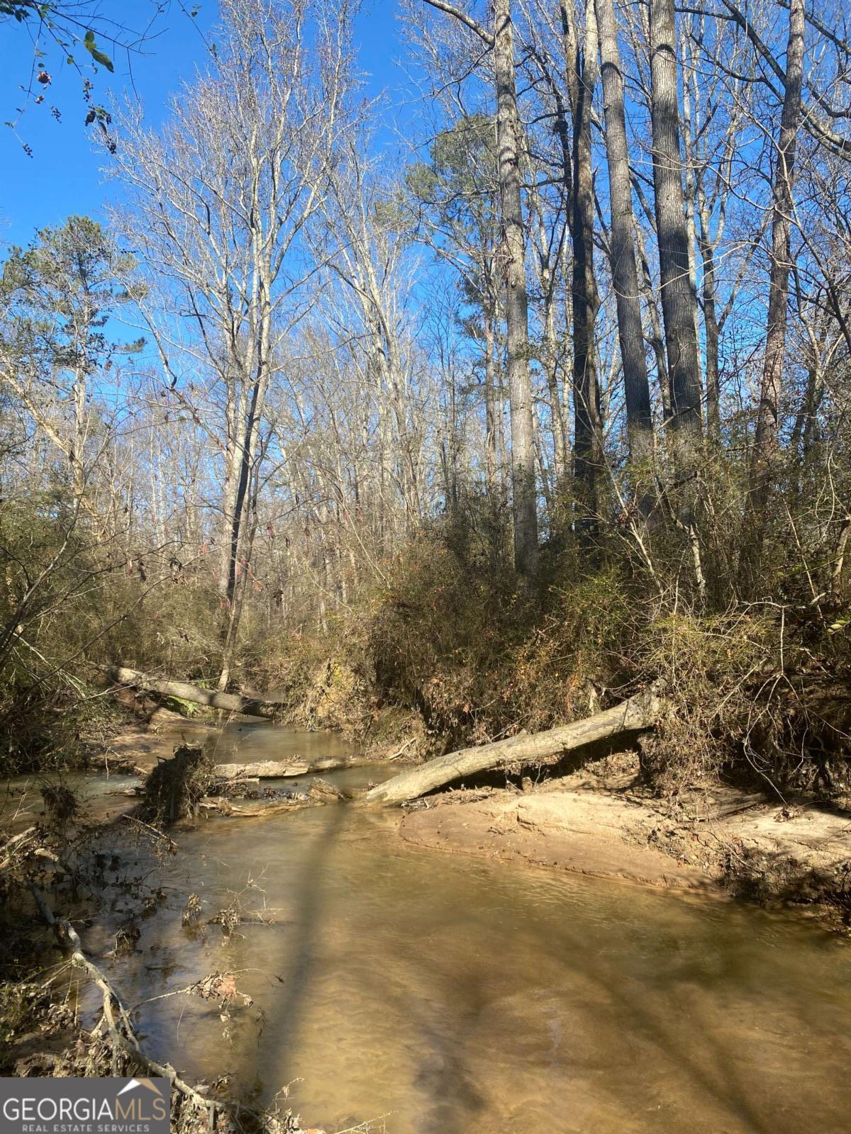 0 Kent Rock Road Loganville, GA 30052 - Photo 4 of 24