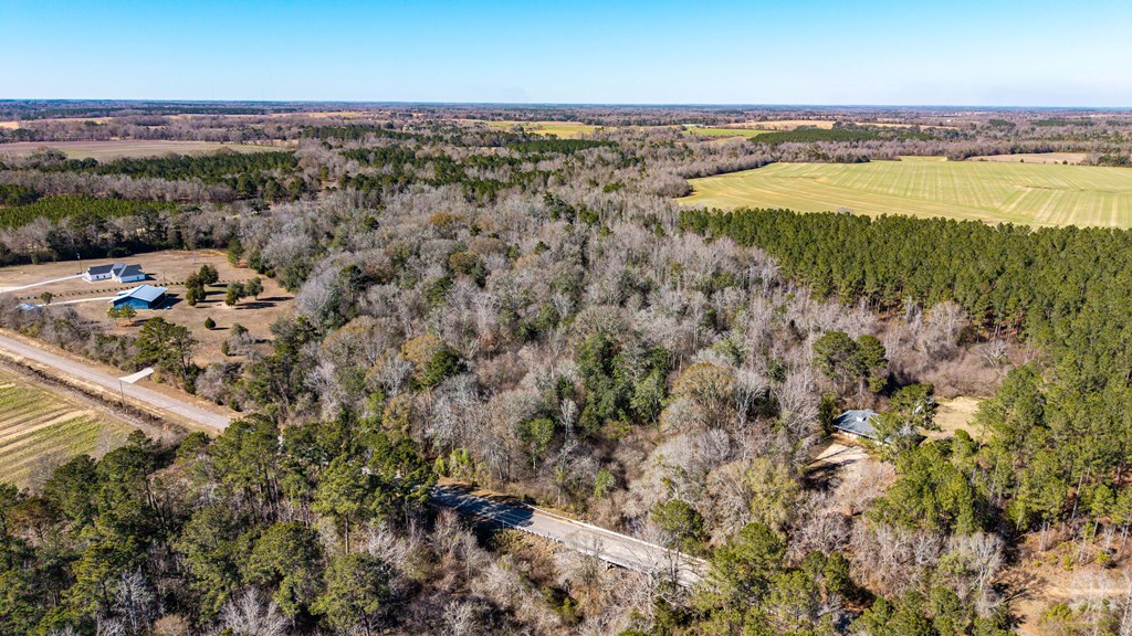0 Bruner Pond Road Ashford, AL 36312 - Photo 13 of 30