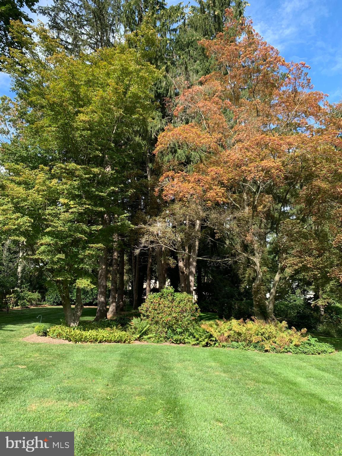 759 River Road Trenton, NJ 08628 - Photo 18 of 26 Park Like Back Yard on .8596 of an acre